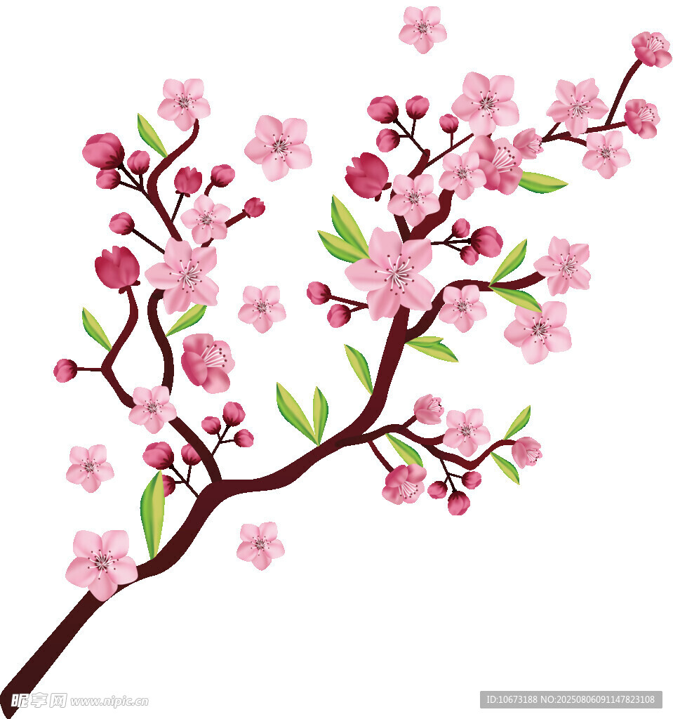 粉色绽放的美丽桃花枝