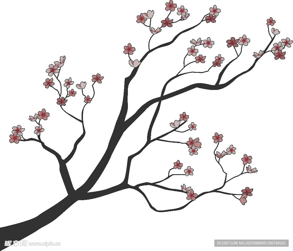 简约花枝插画