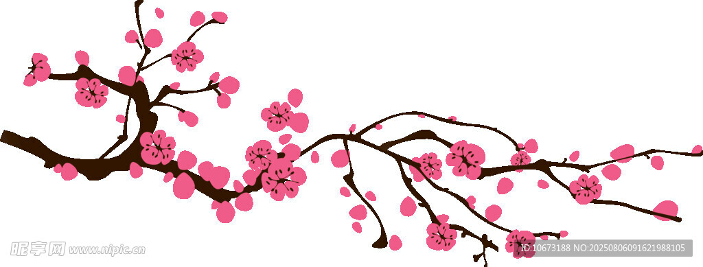 粉色绽放的美丽梅花枝