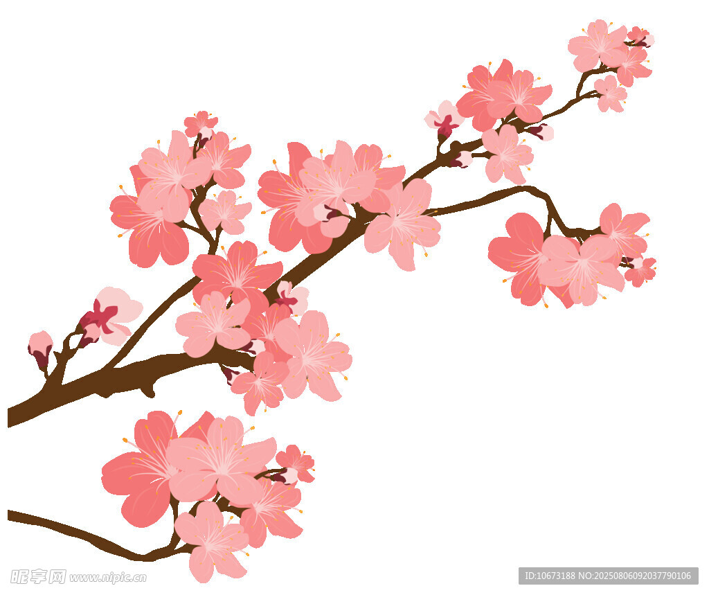 粉色烂漫樱花枝