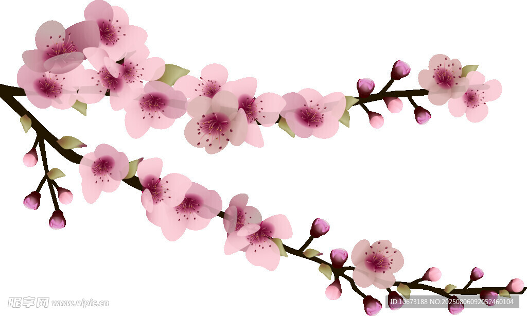 粉色烂漫桃花枝
