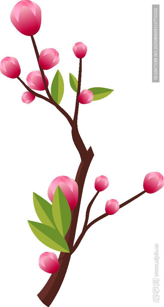 粉色花枝插画