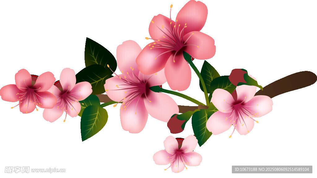 粉色花枝插画