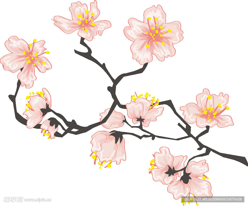 粉色桃花枝特写