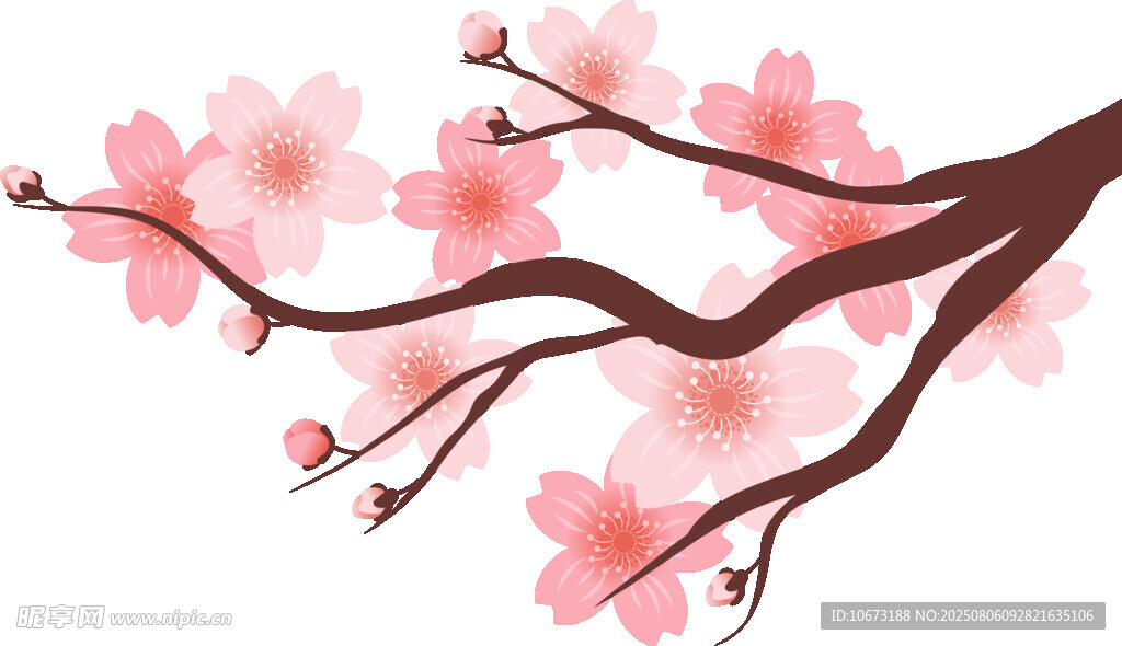 粉色烂漫樱花枝