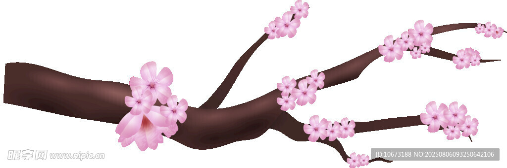 粉色桃花枝