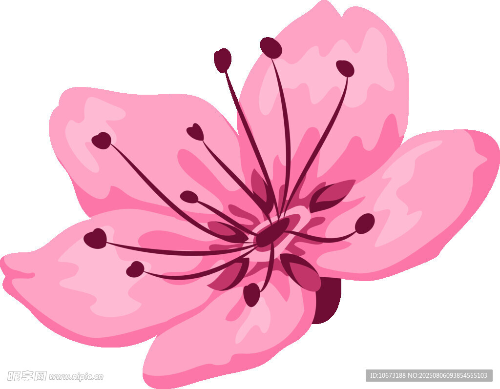 粉色桃花插画