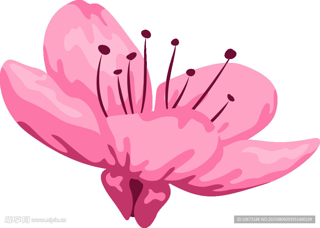 粉色娇艳桃花插画