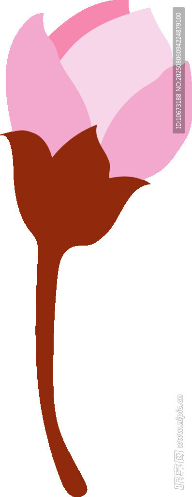 粉色花朵插画