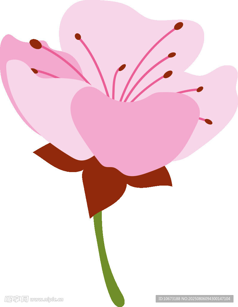 粉色花朵插画