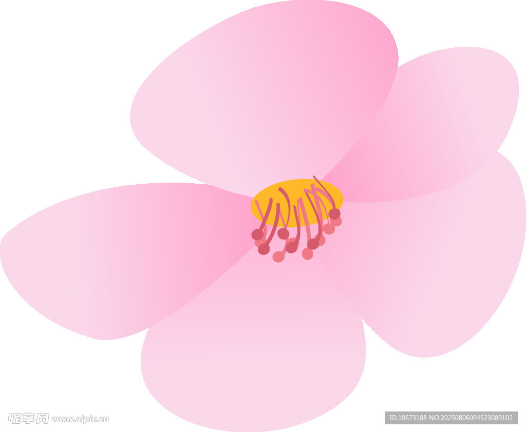 粉色花朵插画