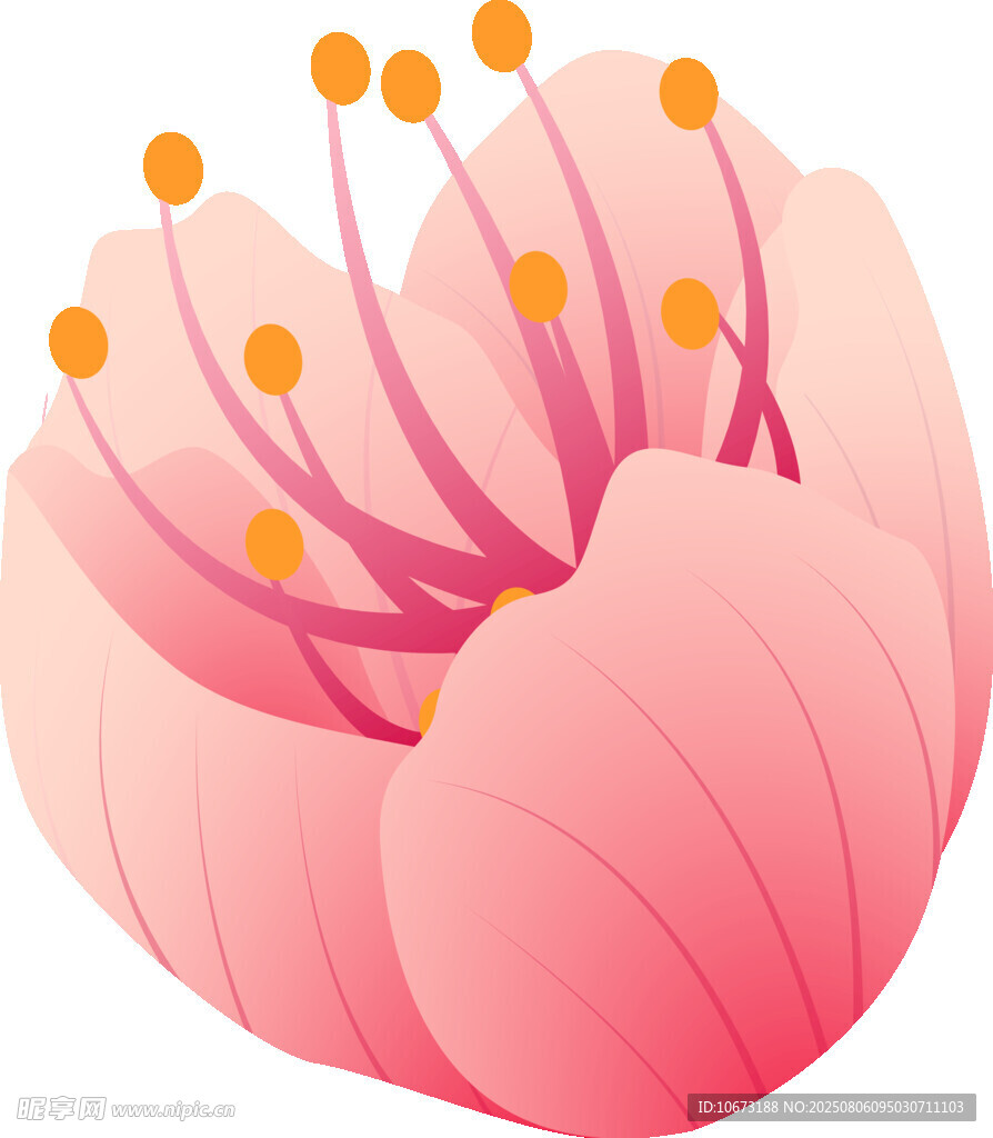 粉色花朵插画