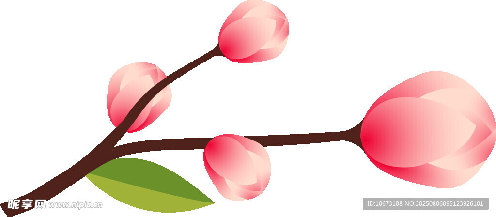 粉嫩桃花枝