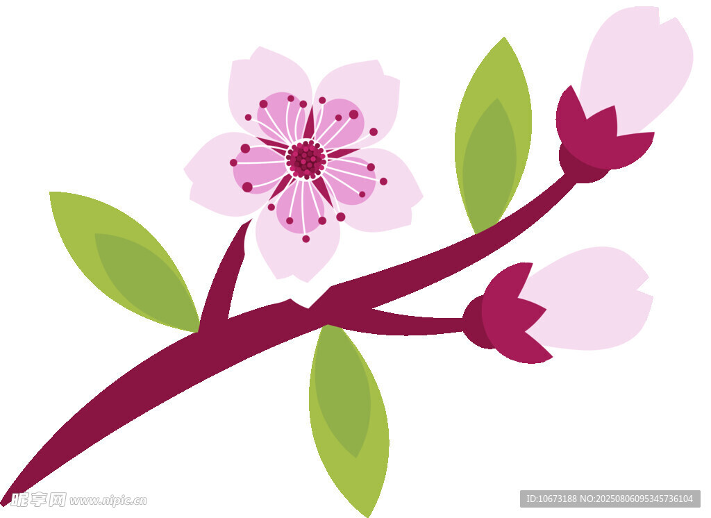 粉色樱花枝插画