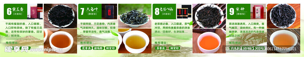 凤凰单丛茶叶