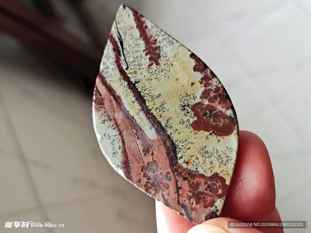 手持斑斓叶片特写