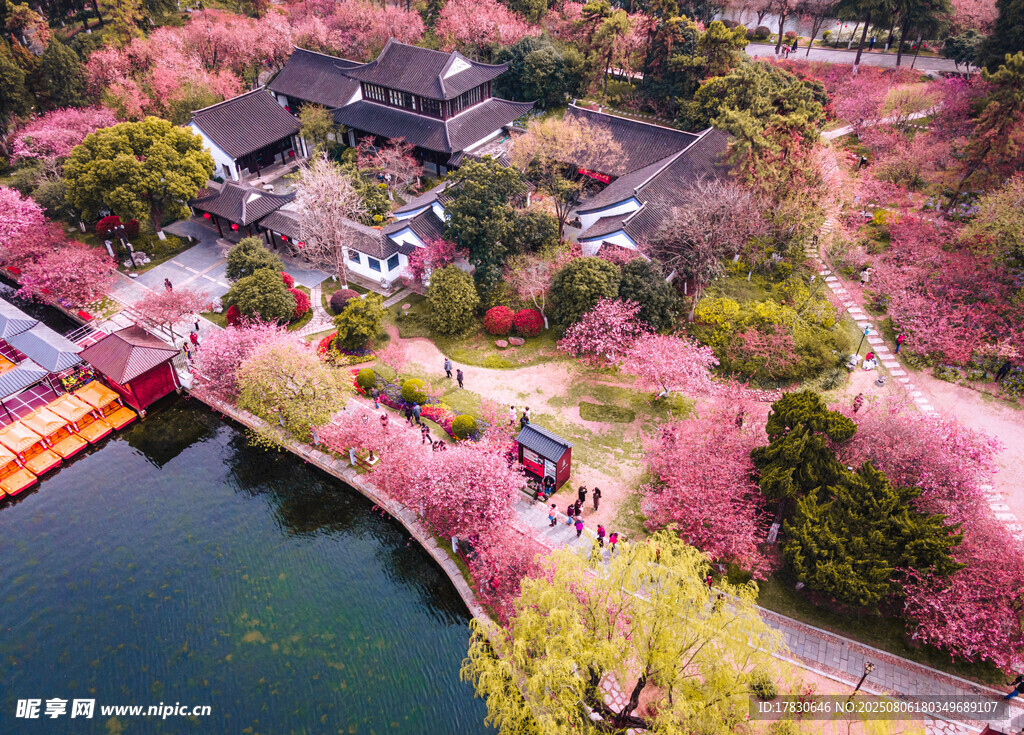 江南春日园林美景
