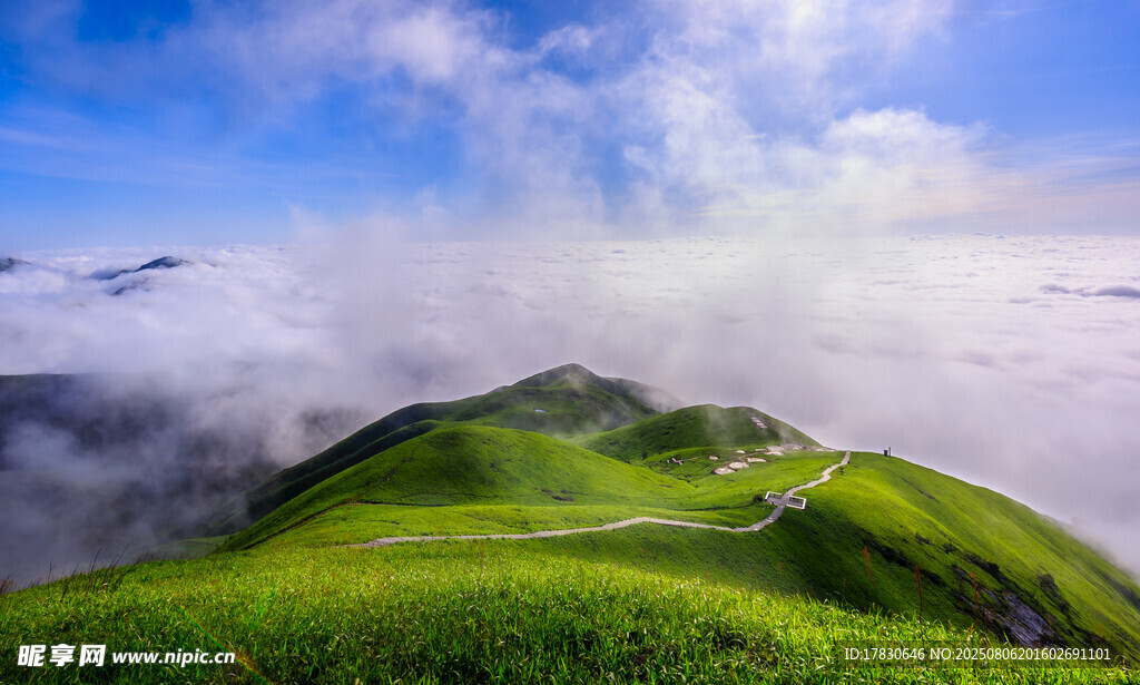 山间绿野云雾缭绕美景
