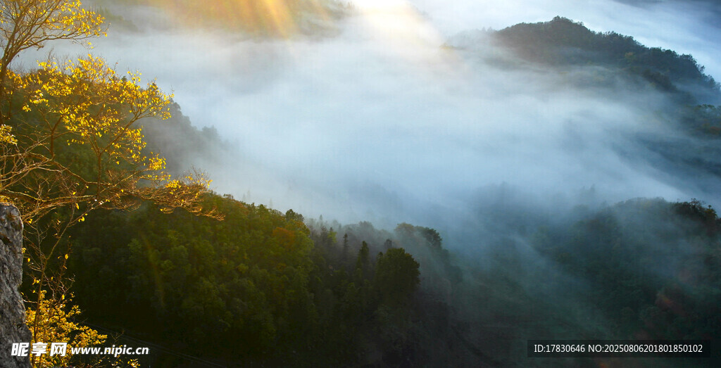 山间晨雾秋景