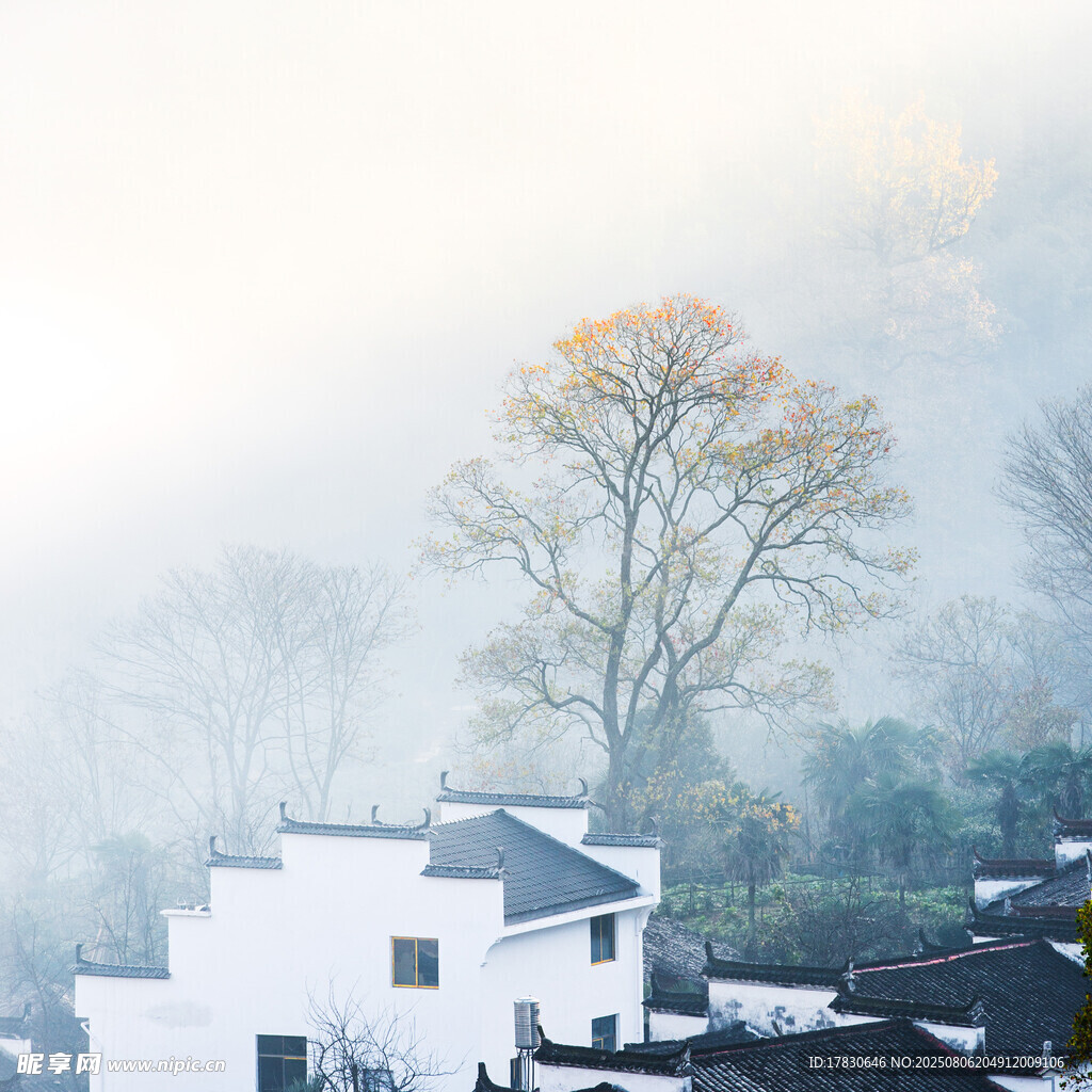 雾中乡村景致