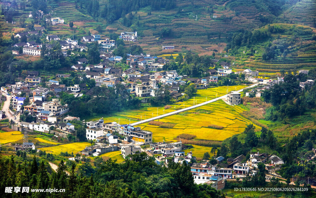 山间村落与金黄稻田美景