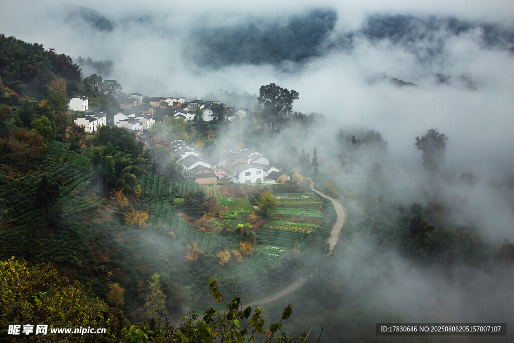 云雾缭绕中的山村美景