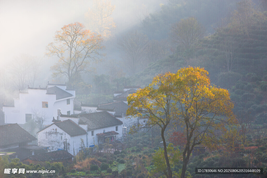 雾中乡村秋景图