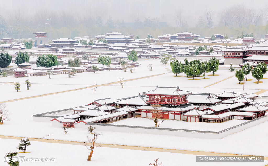 大明宫雪
