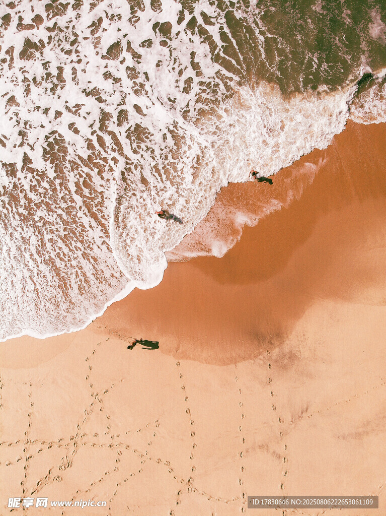 俯瞰沙滩海浪与飞鸟
