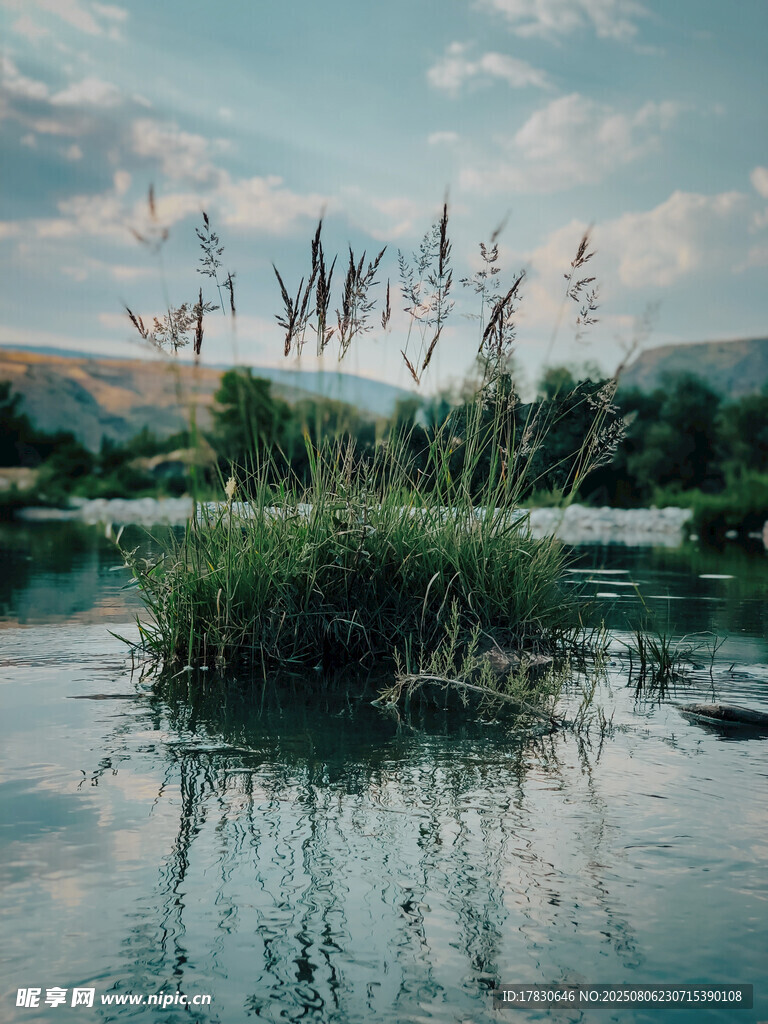 湖畔水草映蓝天美景