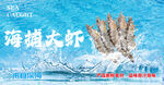 海捕大虾