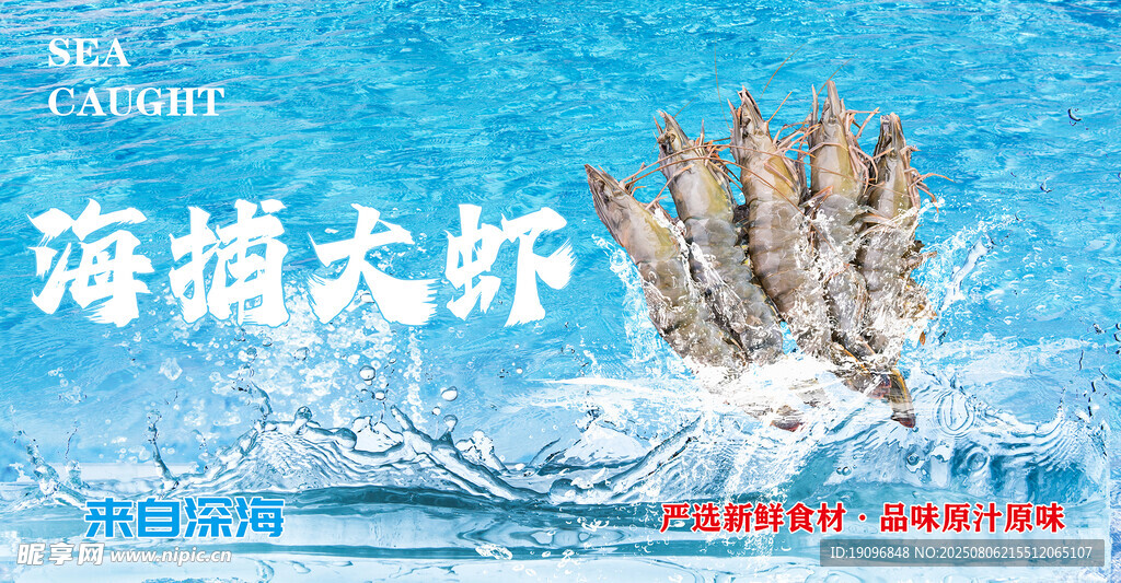海捕大虾