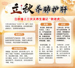 立秋养肺护肝