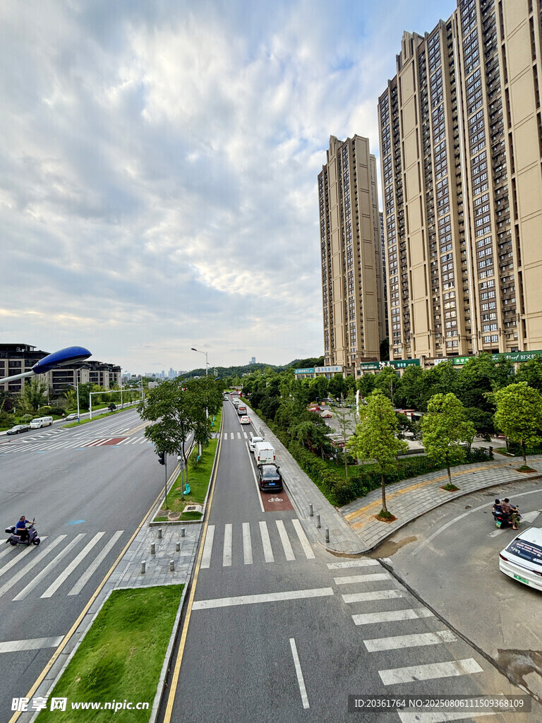 城市道路旁的高层住宅区