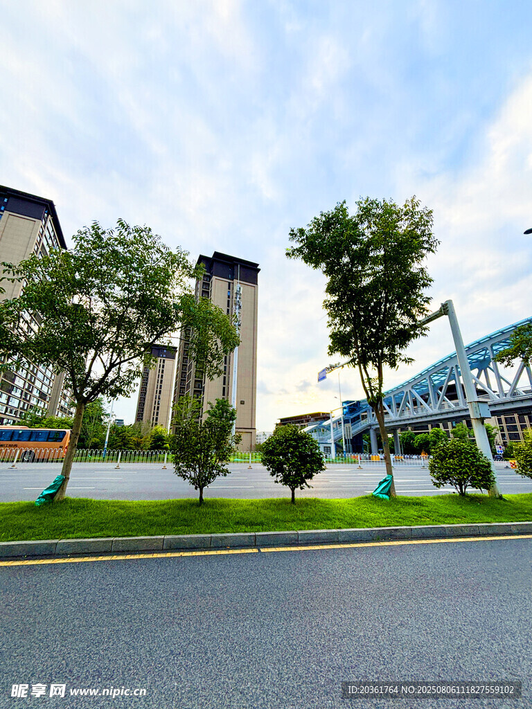 城市街道旁的建筑与绿化