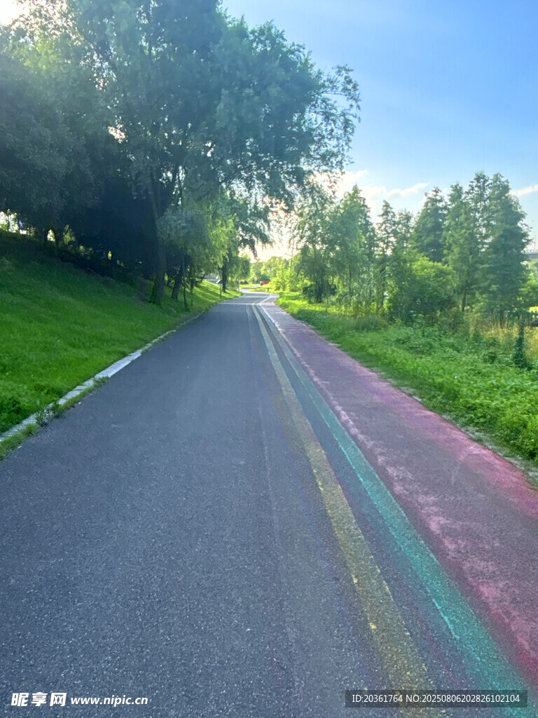 林间多彩道路