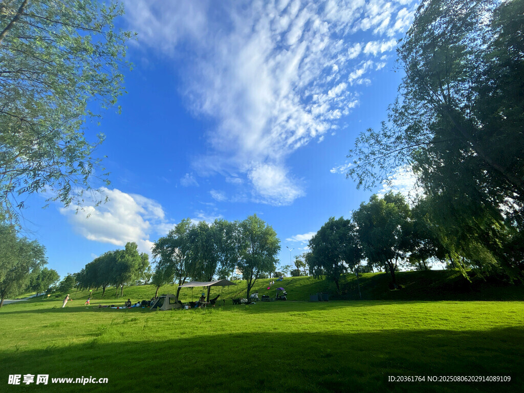蓝天绿地间的清新自然景