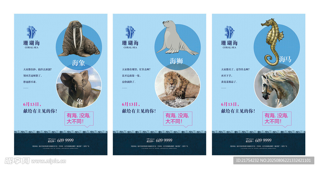珊瑚海地产海报