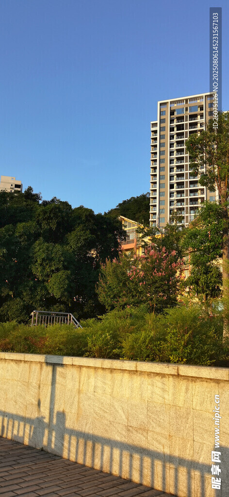 城市河畔高楼与绿植景观