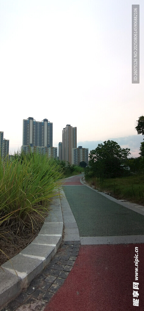 城市中的多彩步道骑行道景观
