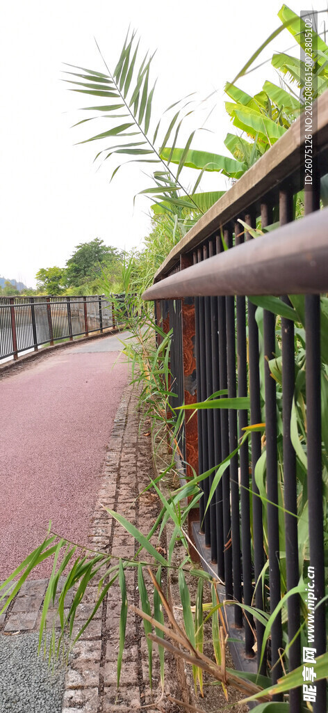 户外绿植环绕的步道与护栏