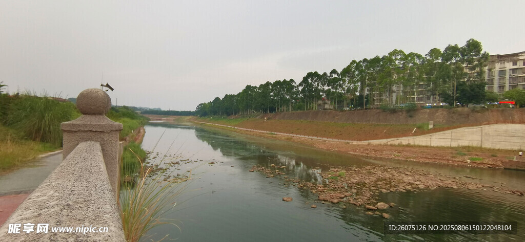 河畔风景绿树环绕的河道