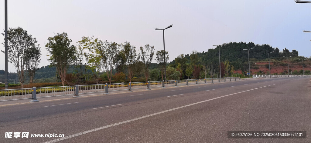 宽阔公路边的绿树与路灯