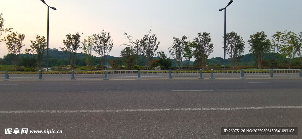 城市道路旁的路灯与围栏