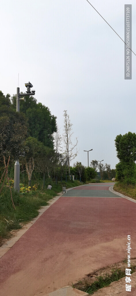 蜿蜒乡间小路