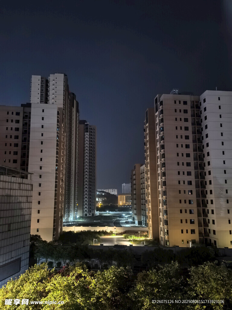 城市夜景中的高楼与绿植