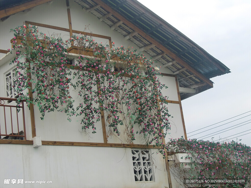 乡村小屋外墙绿植装饰