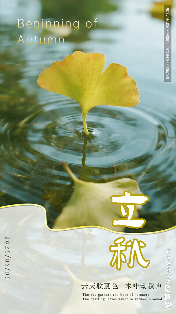 银杏落叶浮于水面之景