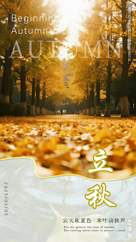 秋日林间诗意景致