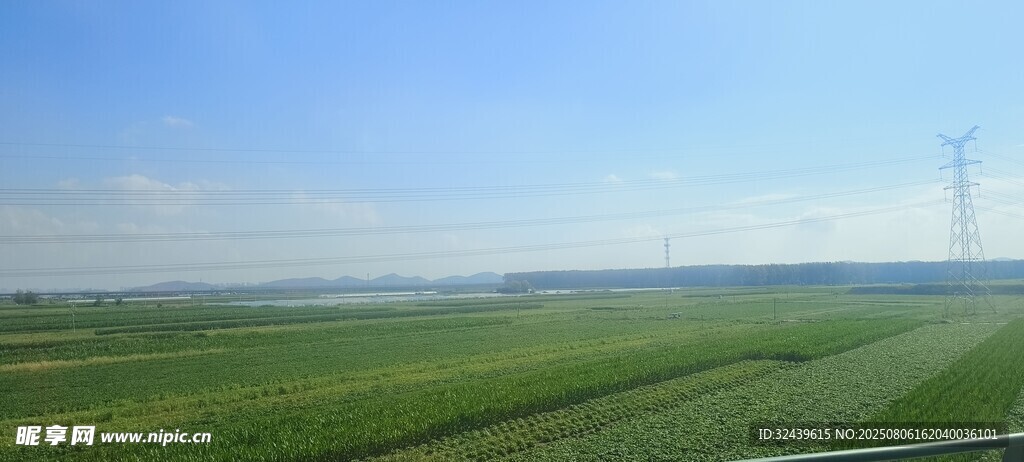 广袤田野风光